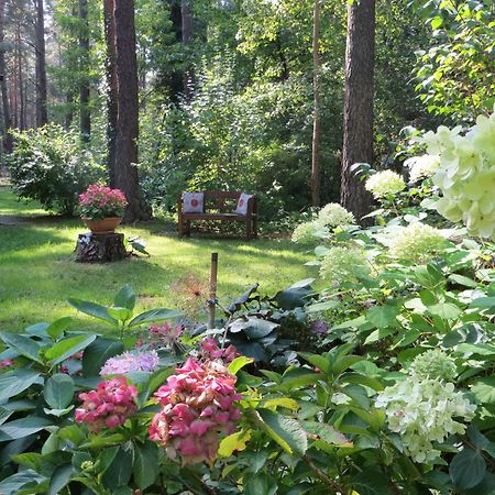Kastavengrund - Ferienhaeuser Mit Kamin Lychen Zewnętrze zdjęcie