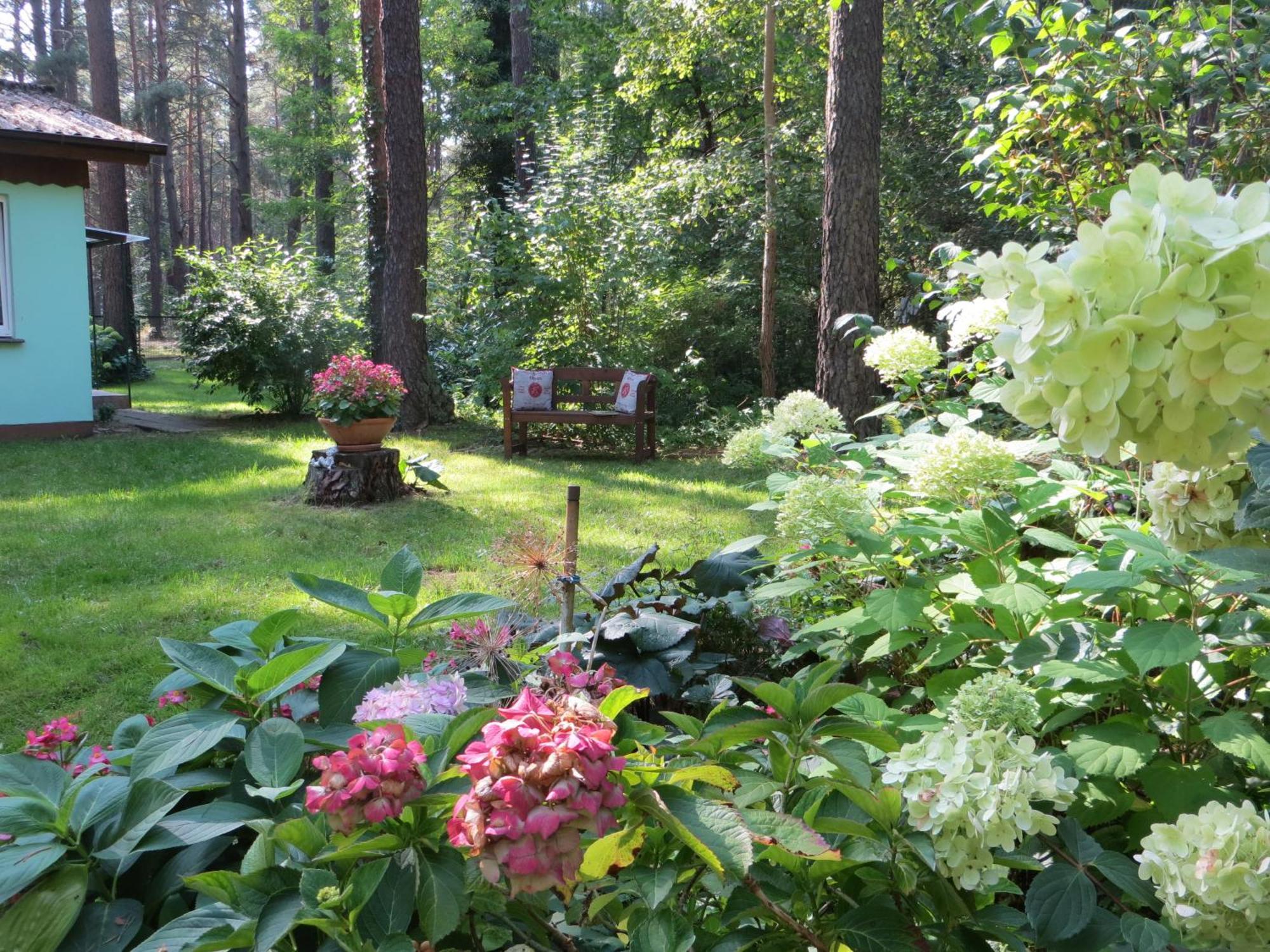 Kastavengrund - Ferienhaeuser Mit Kamin Lychen Zewnętrze zdjęcie